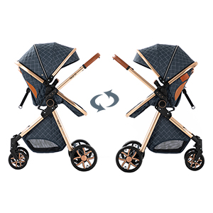 Passeggino 2-in-1 per Bambini, - Lightweight Foldable Baby Stroller Compact recensione e prezzo
